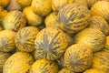 View close-up Turkish melons. Delicious Turkish melon. Many melons. Royalty Free Stock Photo