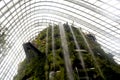 A view of cloud mountain inside garden by the bay