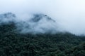 En nube lluvia bosque en selva en región viajar en nubes lluvia bosque 