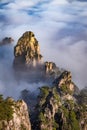 View of the clouds and the pine tree at the mountain peaks of Huangshan National park, China. Landscape of Mount Huangshan of the