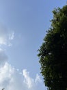 The view of clouds in sky and the tree above Royalty Free Stock Photo