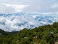 View of cloudy blue sky with greenery and edelweiss on the peak of Mount Gede Pangrango Royalty Free Stock Photo