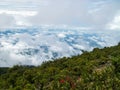 View of cloudy blue sky with greenery on the peak of Mount Gede Pangrango Royalty Free Stock Photo