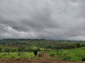 the view of the cloudy sky and the land growing with plants Royalty Free Stock Photo