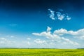 View on cloudy sky and yellow field sunny day Royalty Free Stock Photo