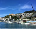 A view from Clyde Quay Wharf of sailboats anchored in Lambton Harbour with beautiful homes on the hills in the background Royalty Free Stock Photo