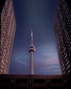 CN Tower viewed at sunset between two tall buildings Royalty Free Stock Photo