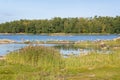 View of the coast, Gulf of Finland and stones in the water, Lauttasaari island, Finland Royalty Free Stock Photo