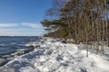 View of the coast and Gulf of Finland in winter Royalty Free Stock Photo