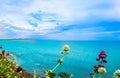 Coast and Irish sea by Bray near Dublin in Ireland