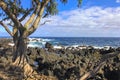 The coastlines of Maui, Hawaii on the road to Hana