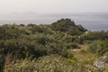 View on a coastal landscape with Phlomis cretica near Preveli Beach