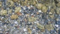 Stony seabed through clear water Royalty Free Stock Photo