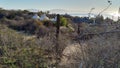 Coastal village at dawn, Sea of Cortes in the background, El Sargento, BCS, Mexico