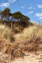 View of the coastline along the Derwent River at Opposum Bay Royalty Free Stock Photo