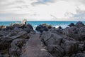 view of the coastline at Cefalu Royalty Free Stock Photo