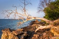 View of coastline on Nosy Komba Island lined with trees and boats floating in the sea, Nosy Komba