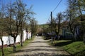 View of cobbled srteet of Viscri village of Transilvania