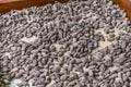 A view of cocao beans after sun drying in La Fortuna, Costa Rica