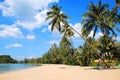 The view on the coconut palm trees on a sandy beach near to sea on a background of a blue sky. Royalty Free Stock Photo
