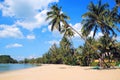 The view on the coconut palm trees on a sandy beach near to sea on a background of a blue sky. Toned photo. Royalty Free Stock Photo