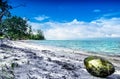 Coconut on remote beach on Phu Quoc island - Vietnam Royalty Free Stock Photo