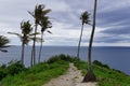 View of coconut trees at Malimbu hill