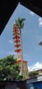 view of coconut trees and tall orange tower