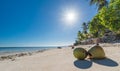 View of Coconuts at Anda beach Bohol island with coconut palms Royalty Free Stock Photo