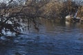 The overgrown flowing cold utah creek Royalty Free Stock Photo