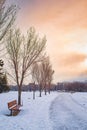 Peaceful Wintry Park Path Royalty Free Stock Photo