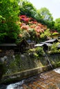 View of colorful blooming flowers upon hill, green trees, local houses and the river stream on sunny day in Kurokawa onsen town Royalty Free Stock Photo