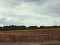 View on a colorful cultivated land and a tree area and with a cloudy sky above Royalty Free Stock Photo