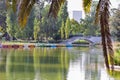 View of colorful docked boats on the lake of Jardim Mario Soares park Royalty Free Stock Photo