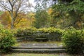 A view of colorful forest trees in the autumn season. Steps with old brick wall and moss arranged into the scenery Royalty Free Stock Photo