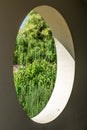 A view on a colorful garden in summer through a round hole in a concrete wall