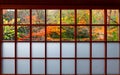 View of colorful maple trees in the courtyard garden behind the sliding screen door Shoji of a traditional Japanese room Royalty Free Stock Photo