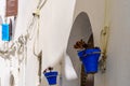 Colorful plant pots, windows, and shutters on white wall