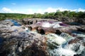 A view of the colorful plants in the CaÃÂ±o Cristales river Royalty Free Stock Photo