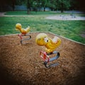 View of colorful playground equipment