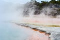 Wai-O-Tapu Thermal Wonderland New Zealand