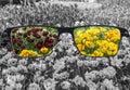 View of colorful tulips in glasses and monochrome background. Different world perception. Optimism, hopefulness, mental health Royalty Free Stock Photo