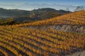 View on colorful vineyards of Langhe Roero Monferrato, UNESCO World Heritage in Piedmont, Italy in autumn season Royalty Free Stock Photo