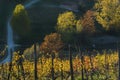 View on colorful vineyards of Langhe Roero Monferrato, UNESCO World Heritage in Piedmont, Italy in autumn season Royalty Free Stock Photo