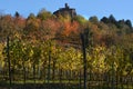 View on colorful vineyards of Langhe Roero Monferrato, UNESCO World Heritage in Piedmont, Italy. in autumn season Royalty Free Stock Photo