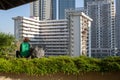 View of a commercial gardener, weeding and trimming plants