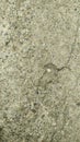 View of concrete floor surface texture