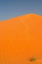 View on cone of orange red sand dune against blue sky with isolated lost tuft of green grass