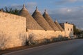 View of the conical dry stone roofs of a group of trulli houses outside Alberobello in Puglia Italy