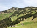 A view of the coniferous forests and pastures on the slopes of Rigi mountain Royalty Free Stock Photo